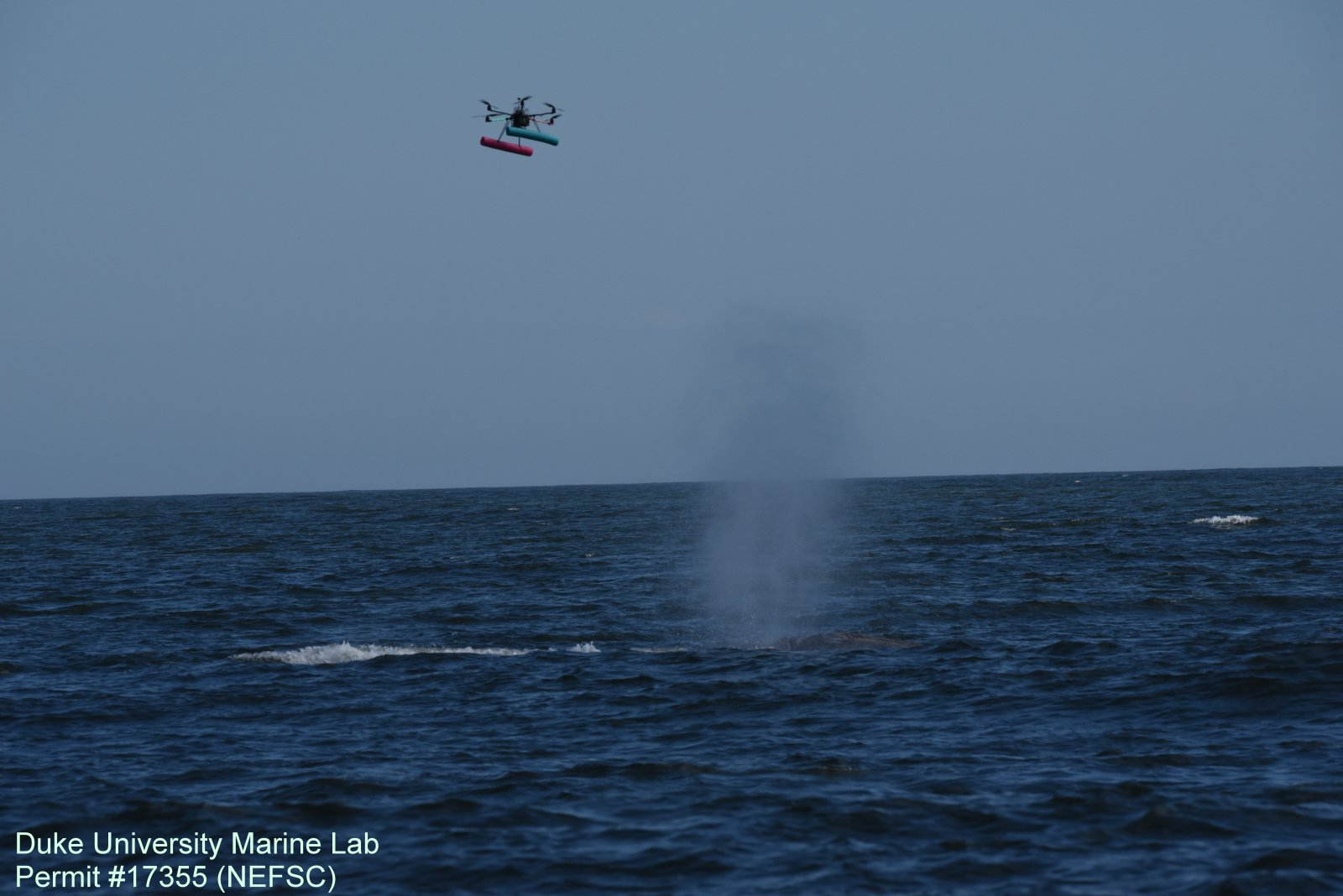 Image slide of UAS being maneuvered into position to collect a respiratory (blow) sample.