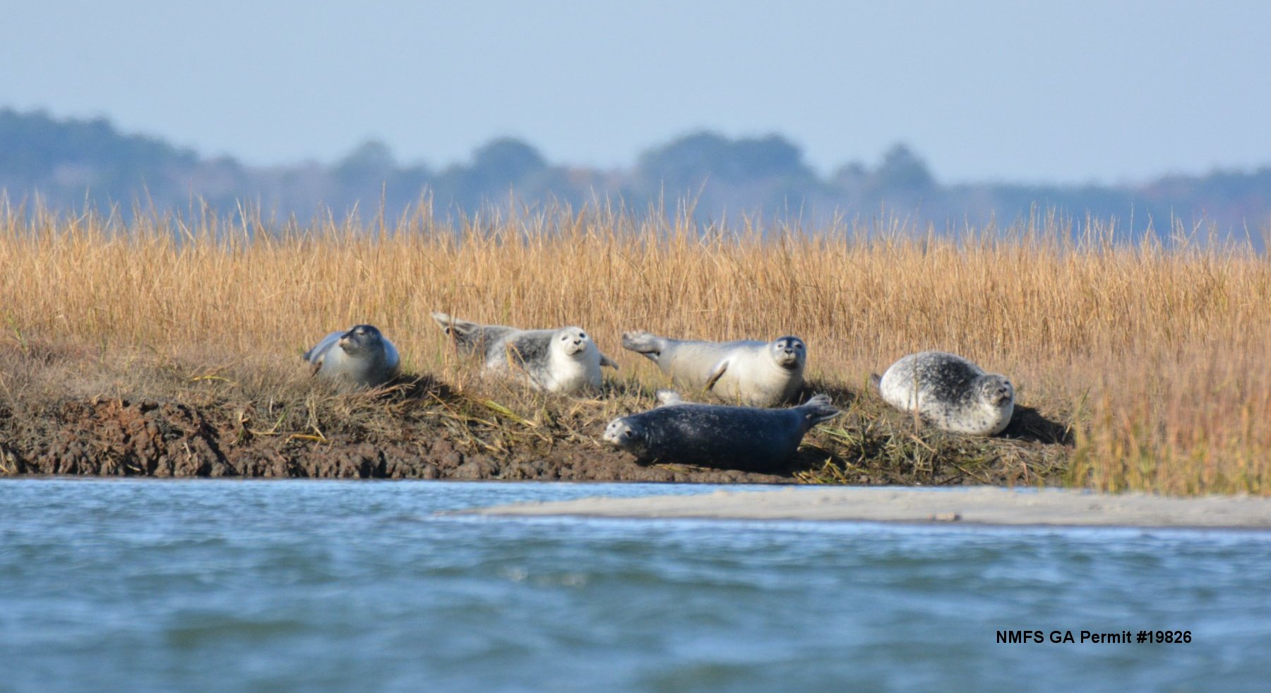 Dsc_6466.jpg