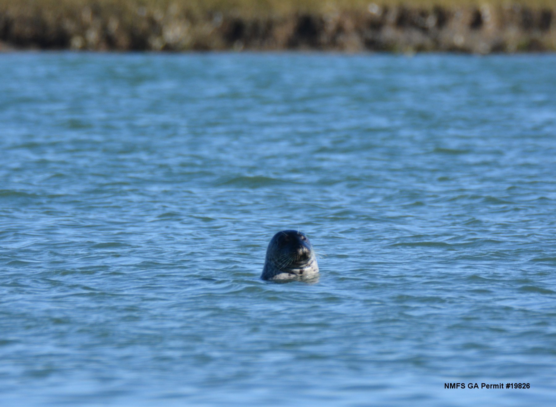 Dsc_6556.jpg