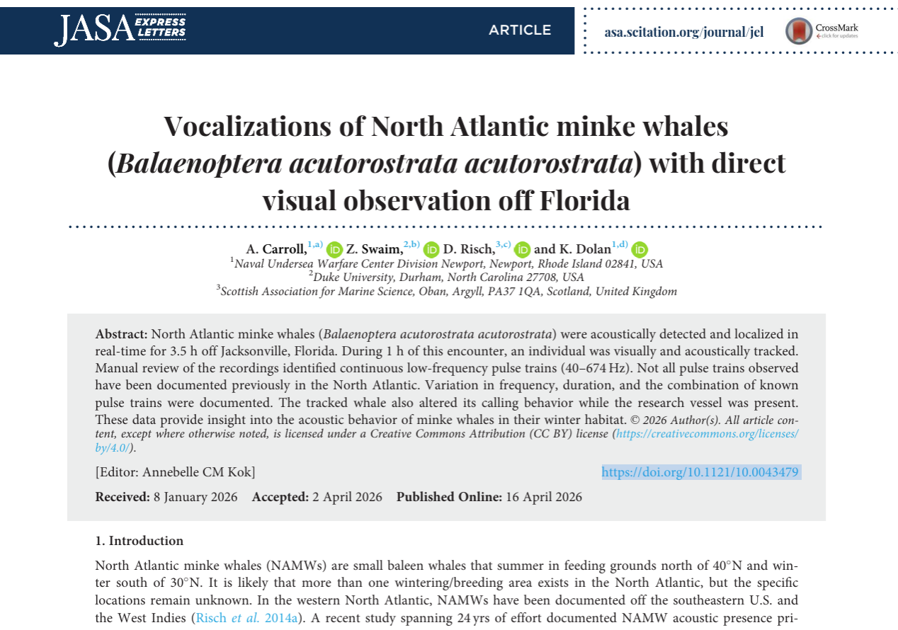 Vocalizations of North Atlantic minke whales (Balaenoptera acutorostrata acutorostrata) with direct visual observation off Florida thumbnail image