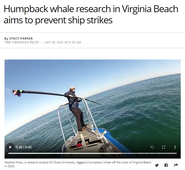 Duke-Humpbacks.jpg